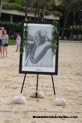 Duke Kahanamoku Beach Challenge 2018 Waikiki Beach 101