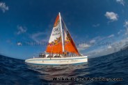 Spirit Of Aloha Port Waikiki Boat Tour Cruise Hilton Hawaiian Village Photos