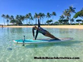 Standup Paddleboard Yoga Sup Yoga Class Waikiki Beach Photos 1 28