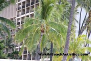 Duke Kahanamoku Challenge 2019 Photos Hilton Hawaiian Village Waikiki Beach Resort 216