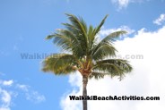 Duke Kahanamoku Challenge 2019 Photos Hilton Hawaiian Village Waikiki Beach Resort 505