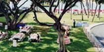 Picnic Area close to the beach at the  Hilton Hawaiian Village Spa and Beach Resort